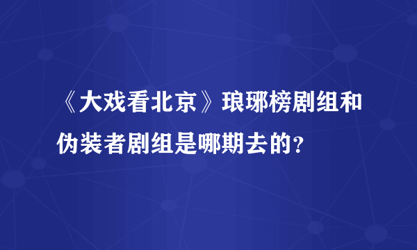 《大戏看北京》琅琊榜剧组和伪装者剧组是哪期去的？