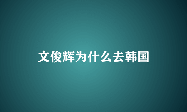 文俊辉为什么去韩国