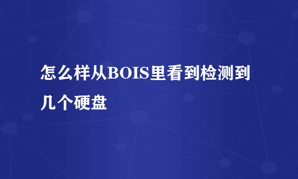 怎么样从BOIS里看到检测到几个硬盘