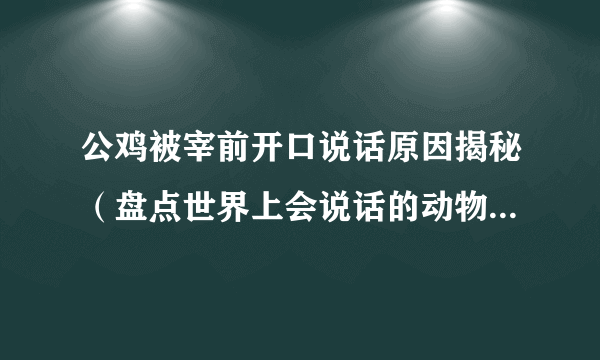 公鸡被宰前开口说话原因揭秘（盘点世界上会说话的动物有哪些）