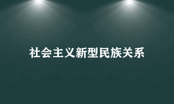 社会主义新型民族关系