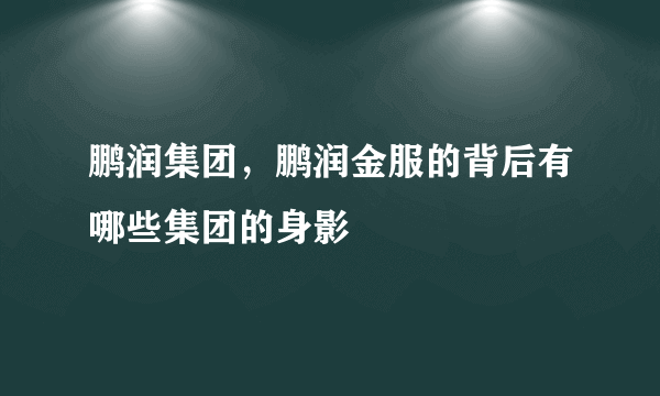 鹏润集团，鹏润金服的背后有哪些集团的身影