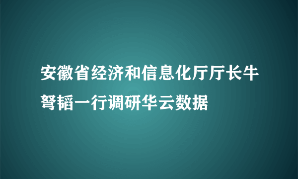 安徽省经济和信息化厅厅长牛弩韬一行调研华云数据