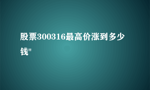 股票300316最高价涨到多少钱