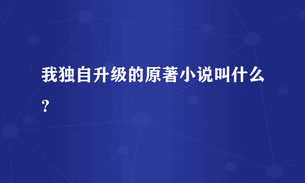 我独自升级的原著小说叫什么？