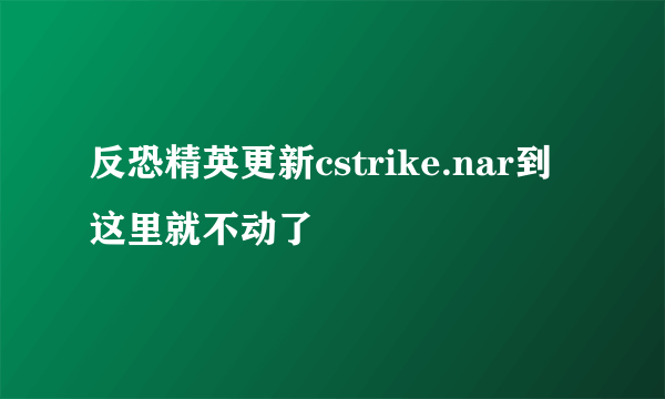 反恐精英更新cstrike.nar到这里就不动了