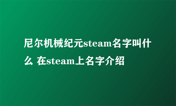 尼尔机械纪元steam名字叫什么 在steam上名字介绍