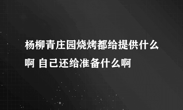 杨柳青庄园烧烤都给提供什么啊 自己还给准备什么啊