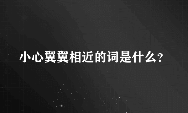 小心翼翼相近的词是什么？