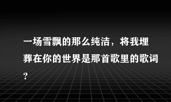 一场雪飘的那么纯洁，将我埋葬在你的世界是那首歌里的歌词？