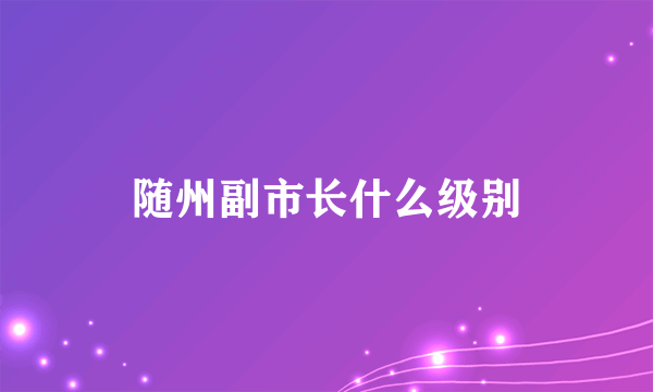 随州副市长什么级别