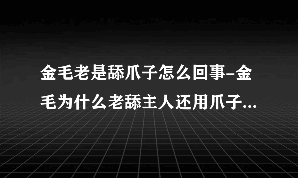 金毛老是舔爪子怎么回事-金毛为什么老舔主人还用爪子挠主人咋回事？