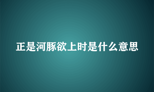 正是河豚欲上时是什么意思