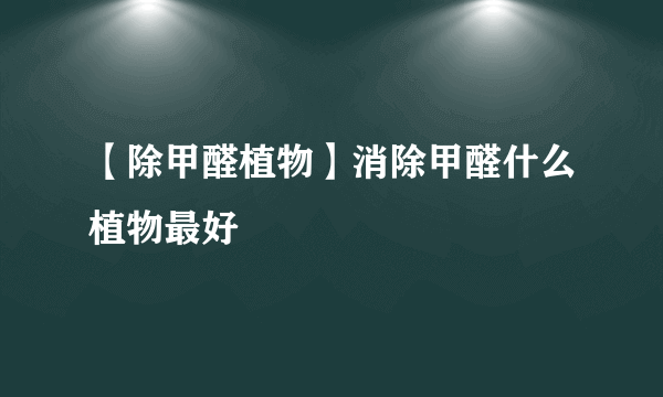 【除甲醛植物】消除甲醛什么植物最好