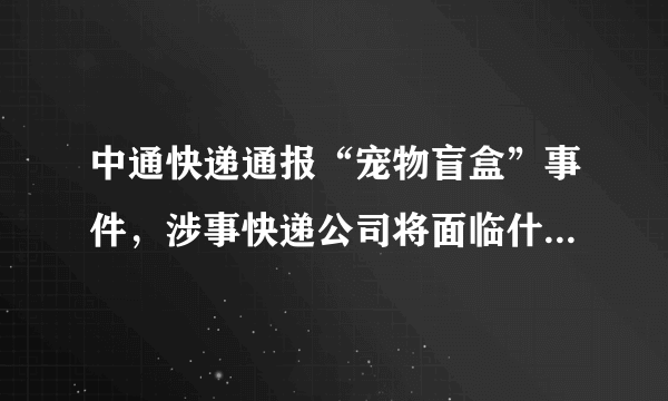 中通快递通报“宠物盲盒”事件，涉事快递公司将面临什么惩罚？