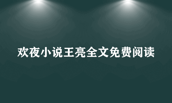 欢夜小说王亮全文免费阅读