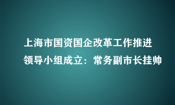 上海市国资国企改革工作推进领导小组成立：常务副市长挂帅