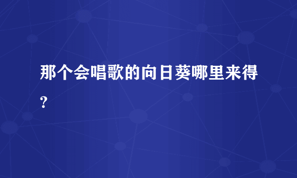 那个会唱歌的向日葵哪里来得?