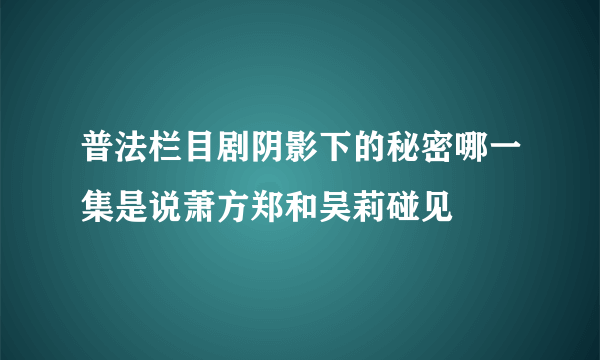 普法栏目剧阴影下的秘密哪一集是说萧方郑和吴莉碰见