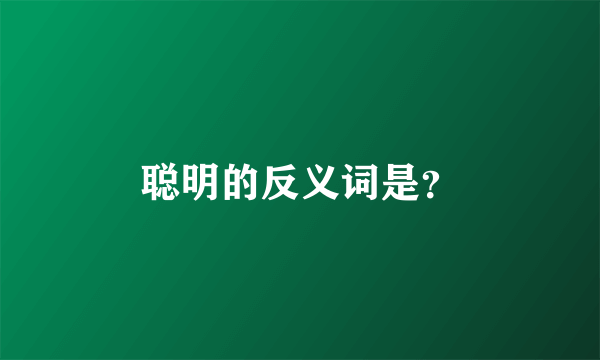 聪明的反义词是？