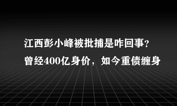 江西彭小峰被批捕是咋回事？曾经400亿身价，如今重债缠身