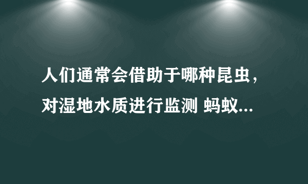 人们通常会借助于哪种昆虫，对湿地水质进行监测 蚂蚁庄园今日答案10月13日