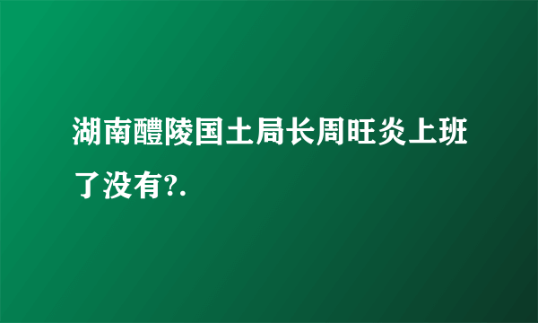 湖南醴陵国土局长周旺炎上班了没有?.