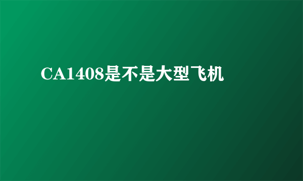 CA1408是不是大型飞机