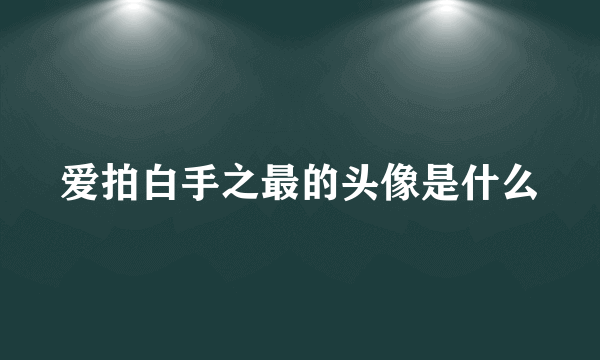 爱拍白手之最的头像是什么