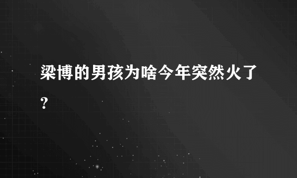 梁博的男孩为啥今年突然火了？