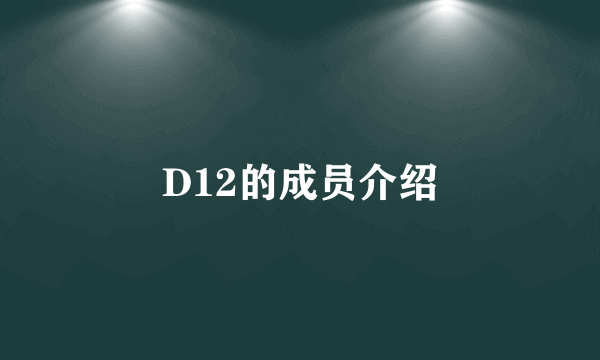 D12的成员介绍