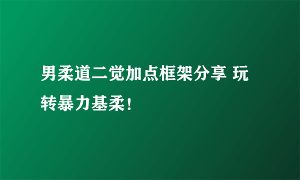 男柔道二觉加点框架分享 玩转暴力基柔！