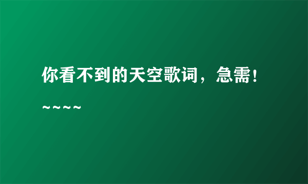 你看不到的天空歌词，急需！~~~~