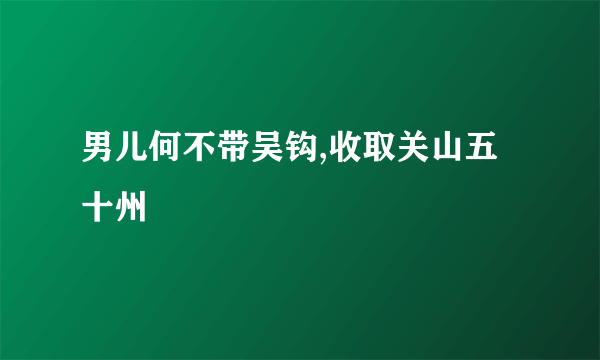 男儿何不带吴钩,收取关山五十州