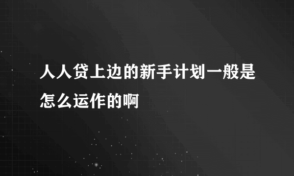 人人贷上边的新手计划一般是怎么运作的啊