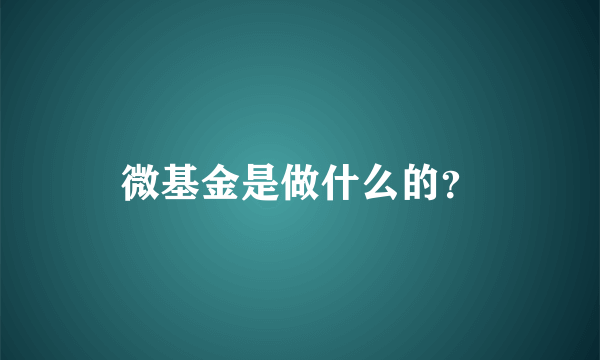 微基金是做什么的？