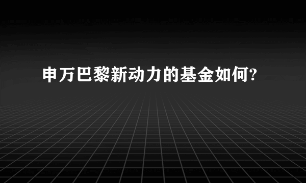 申万巴黎新动力的基金如何?