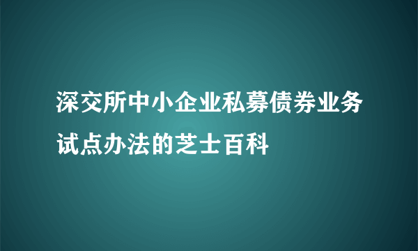 深交所中小企业私募债券业务试点办法的芝士百科