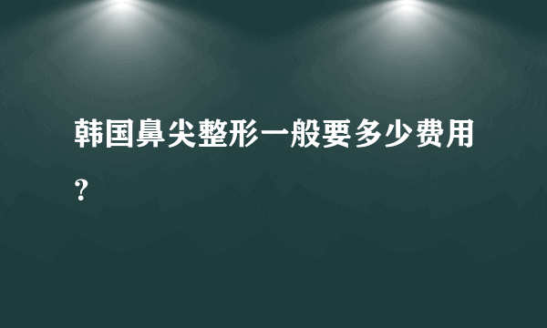 韩国鼻尖整形一般要多少费用？