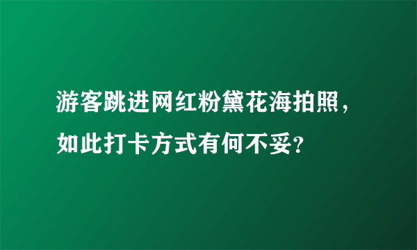 游客跳进网红粉黛花海拍照，如此打卡方式有何不妥？