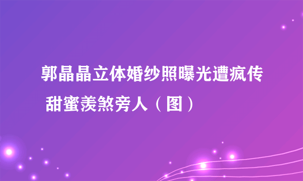 郭晶晶立体婚纱照曝光遭疯传 甜蜜羡煞旁人（图）