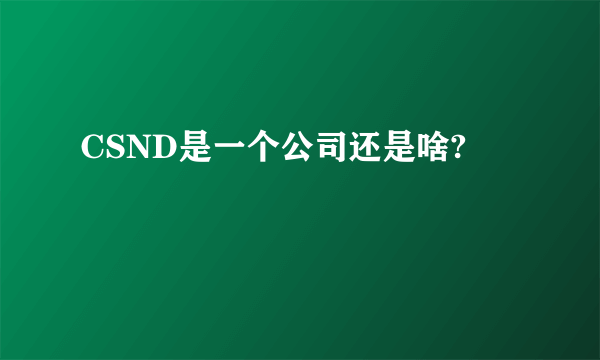 CSND是一个公司还是啥?