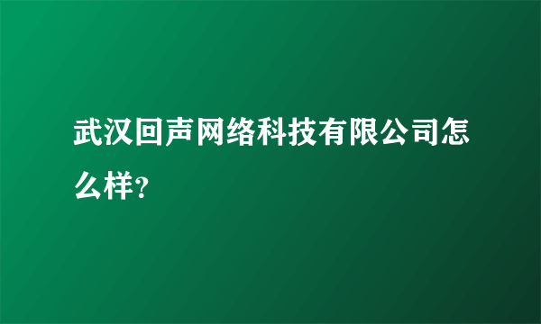 武汉回声网络科技有限公司怎么样？