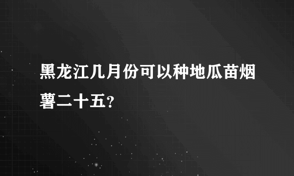 黑龙江几月份可以种地瓜苗烟薯二十五？