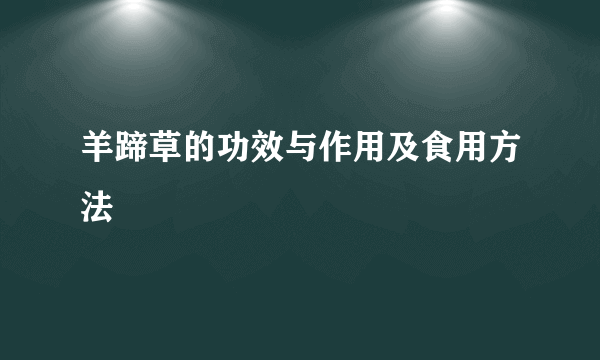 羊蹄草的功效与作用及食用方法