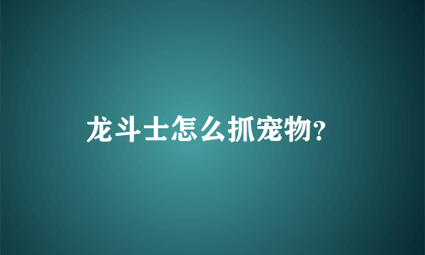 龙斗士怎么抓宠物？