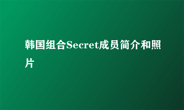 韩国组合Secret成员简介和照片