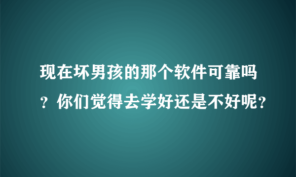 现在坏男孩的那个软件可靠吗？你们觉得去学好还是不好呢？