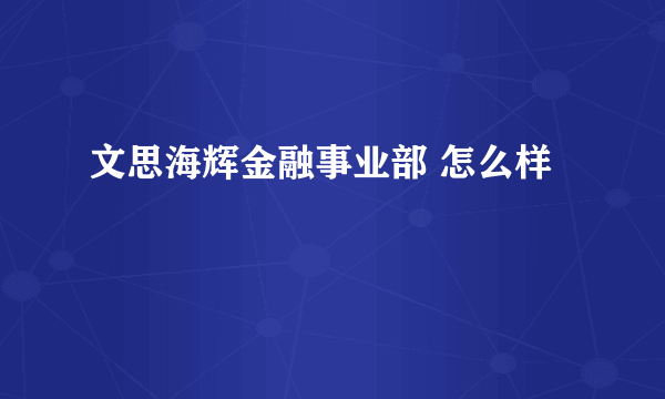 文思海辉金融事业部 怎么样