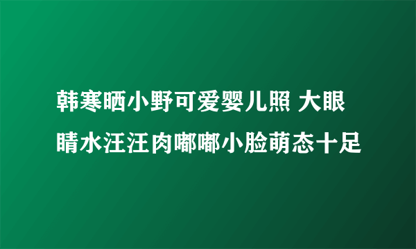 韩寒晒小野可爱婴儿照 大眼睛水汪汪肉嘟嘟小脸萌态十足